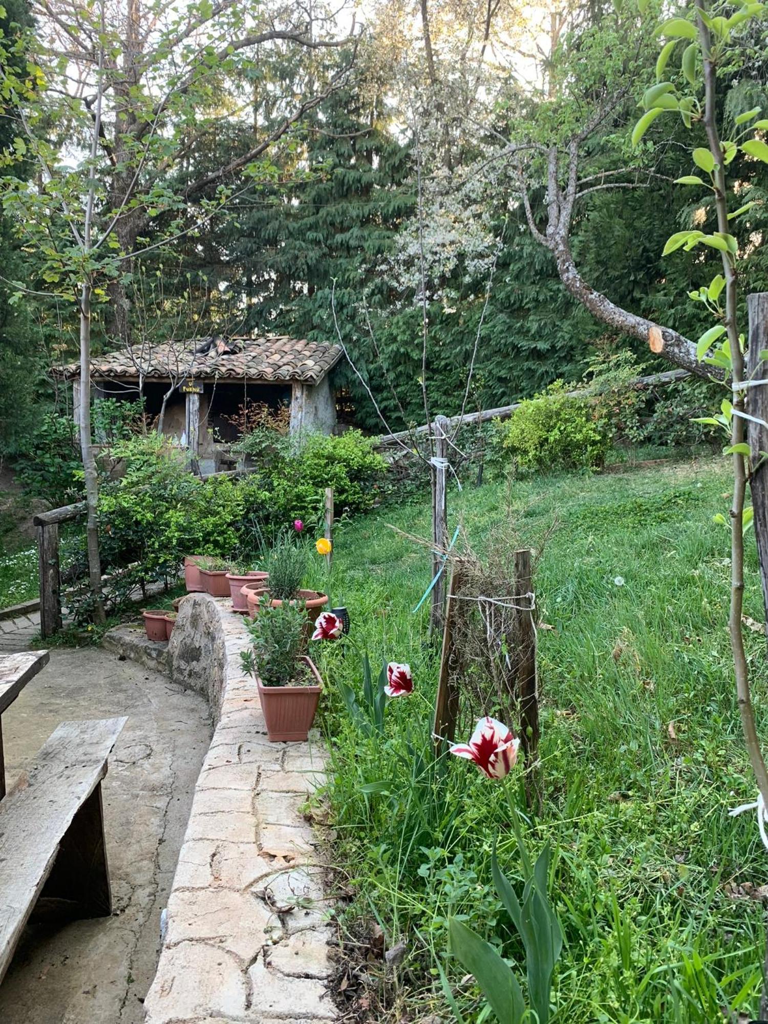Agriturismo Carrozzino Sersale Екстер'єр фото