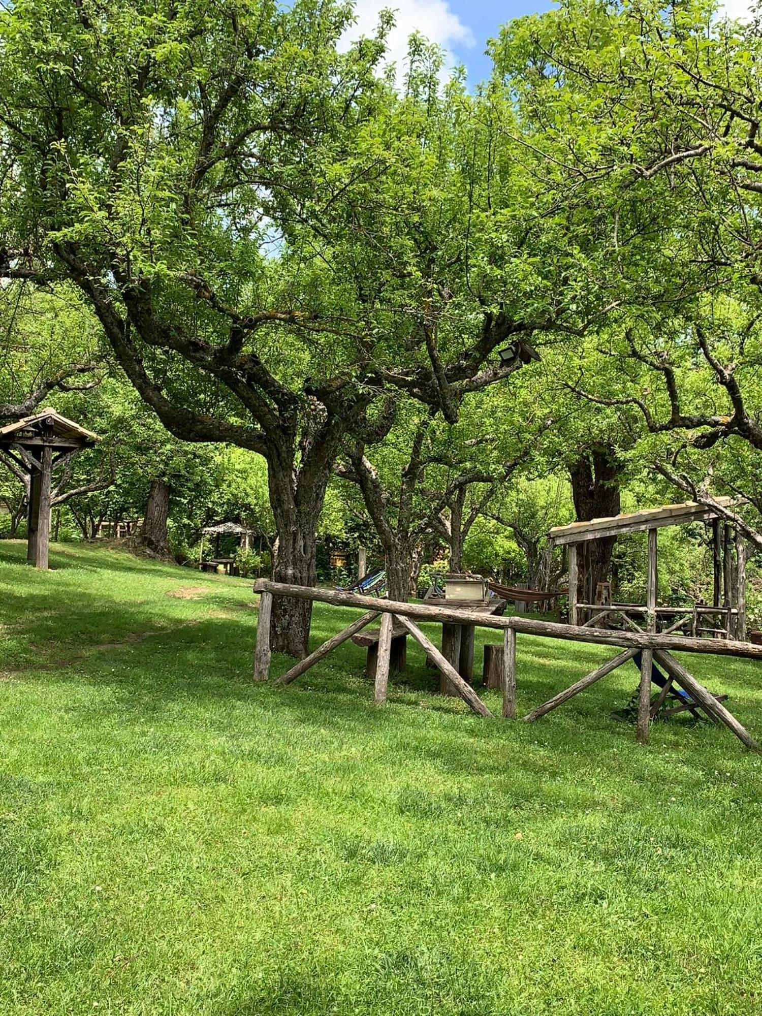 Agriturismo Carrozzino Sersale Екстер'єр фото