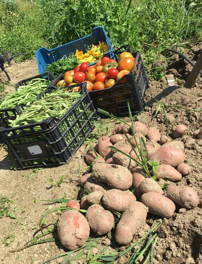 Agriturismo Carrozzino Sersale Екстер'єр фото